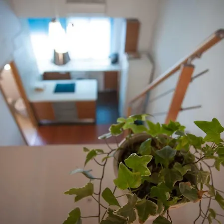 Loft En El Centro De Apartment